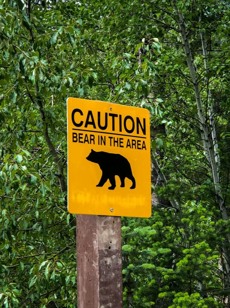 Yellow caution sign reading Bear in the Area with a bear silhouette, posted in a green forest