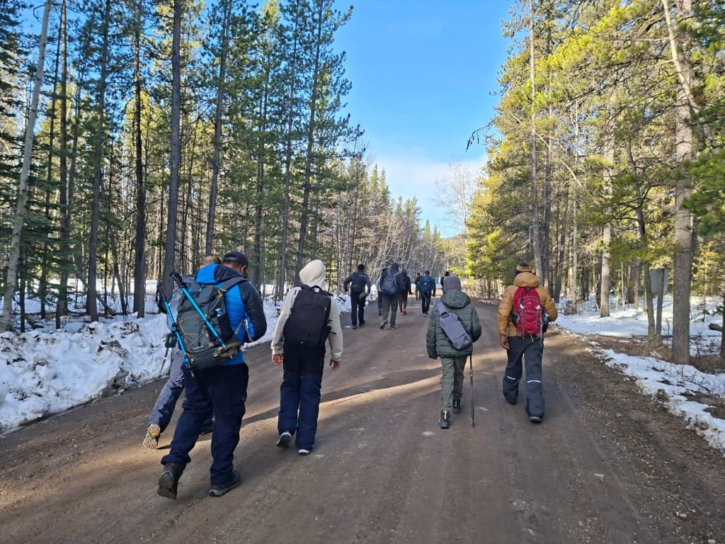 Group of hikers walking along a wide forest trail with snow on the sides under a clear blue sky