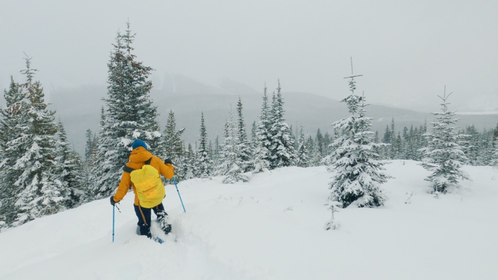 Winter Hiking